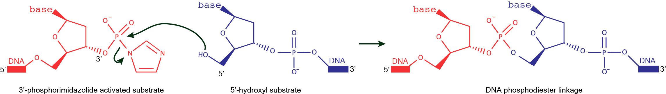 Dnamoredb A Database Of Deoxyribozymes