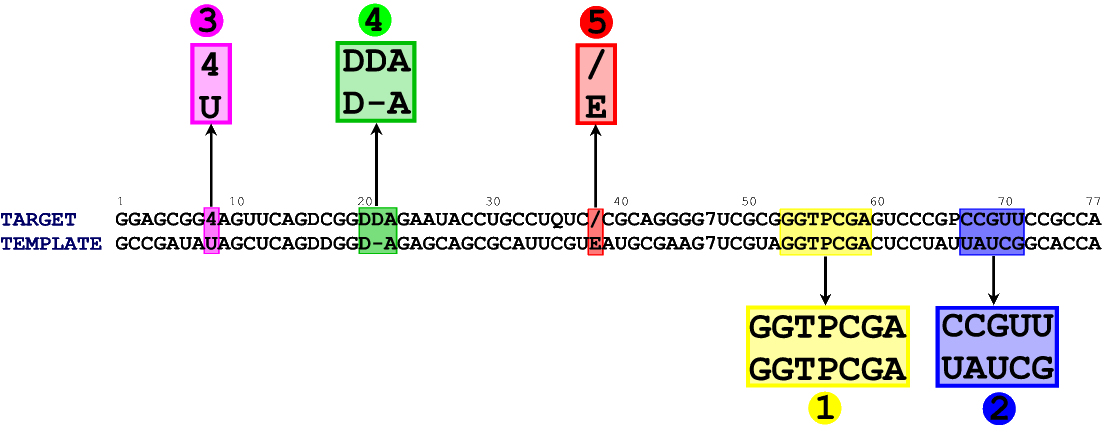 aln_1qf6_asp.gif - first alignment